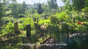 Палкино- псковская Франция. Palkino France in Pskov