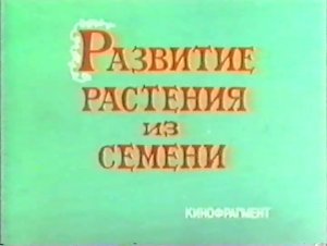 Развитие растения из семени