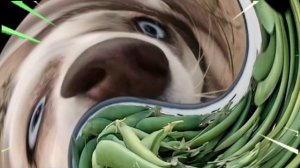 Хаски Мими как ходячий мем |  Подборка приколов с хаски