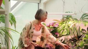 Грядка для комнатных цветов / секреты планировки