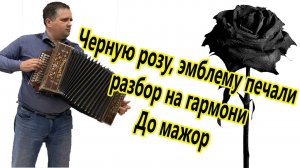 Черную розу, эмблему печали //разбор на гармони До мажор