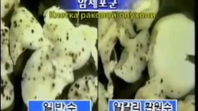 Щелочная вода  - ЛЕЧИТ !!!! ВАШ незаменимый доктор - кислая вода, Долголетие.