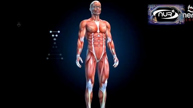 НАУЧНАЯ СЕНСАЦИЯ!  Польза поста