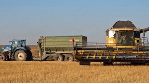 Уборка нишевых культур, ч.1. Горчица. No - till