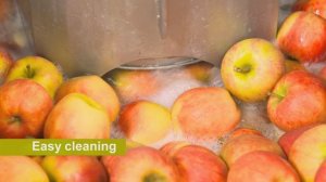 Мойка Элеватор WALC