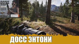 ДОЛИНА - ARENA BREAKOUT: INFINITE СТРИМ