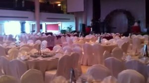 Bose L1 Model II Sound Systems