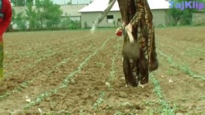 РайхонаДавлатова   Аламой Дилм  Бехтарин Клипи Точики