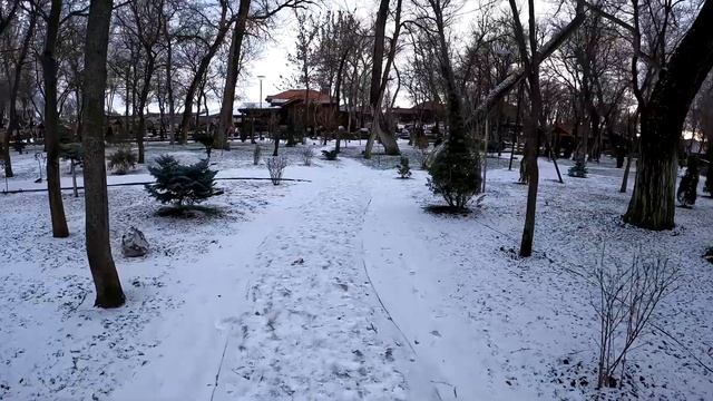 Парк Лога зимой 2022