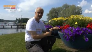Как фотографировать цветы