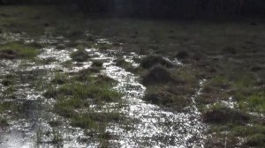 Мини путешествие по бездорожью на мопеде по колено в ледяной воде.Yamaha Town Mate,"