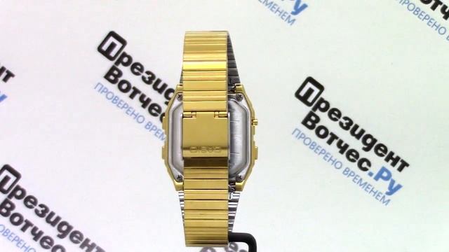 Часы Casio Databank DB-380G-1D [DB-380G-1DVEF] - Круговой обзор от PresidentWatches.Ru смотреть онлайн