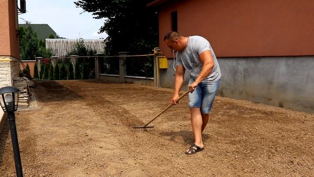 Комплексне озеленення одного подвір'я