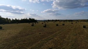 Люцерна итоги покоса///подсчёт урожайности