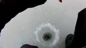 ЛОВЛЯ ЩУКИ НА ЖЕРЛИЦЫ В ГЛУХОЗИМЬЕ.ВТОРАЯ ЖИЗНЬ ДЛЯ ЩУКИ?.