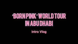 ПЕРВЫЙ НЕ MINI VLOG /// Покупаю билет на 'BORN PINK' WORLD TOUR + ИНСТРУКЦИЯ на покупку билета