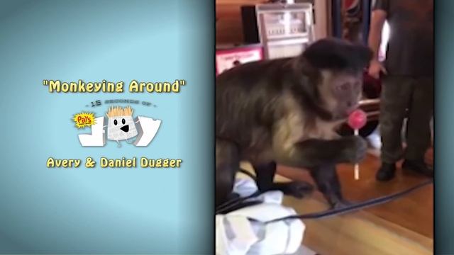 Pal's 15 Seconds of Joy "Monkeying Around" смотреть онлайн