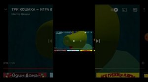 смотрю-три-кошака-и-три-кошары