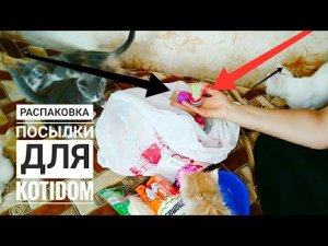 Посылка для животных от Подписчицы ❤