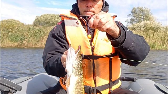 ЛОВИМ ЩУКУ! Джиговая рыбалка смотреть онлайн