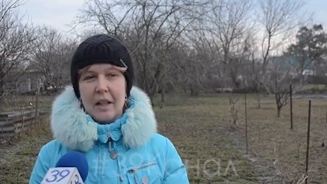 Огороды жителей станицы Анапская стали похожи на рисовые поля смотреть онлайн