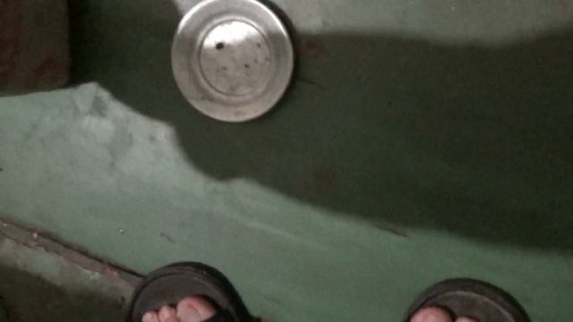 Квартиру атакуют тараканы. Продолжаю ловить тараканов смотреть онлайн