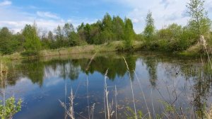Ловля кильки летом