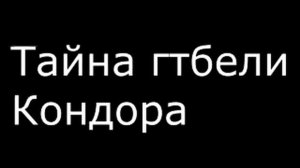 Тайна гибели кондора