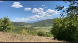 с.Цинубани (Панкиси)