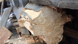 Ремонт старого бревенчатого дома. Выпилил нижний венец.