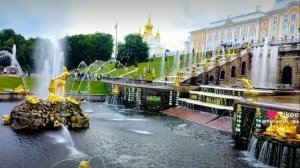 Лучшее из лучших
