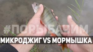 ЭТА СНАСТЬ ловит всё что можно! И что нельзя тоже. Рыбалка на ультралайт!