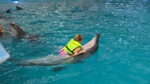 КУПАЛИСЬ С ДЕЛЬФИНАМИ В ХАРЬКОВСКОМ ДЕЛЬФИНАРИИ НЕМО / ДАША-РАСПАКОВЩИЦА