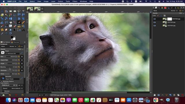 How to Focus Stack  Photos in Gimp | Tutorial 28