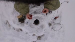 Ловля ротана в январе 2022 года.