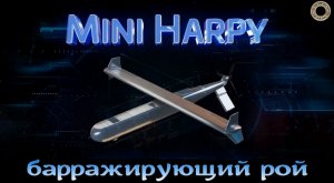 Mini HARPY - барражирующий разведчик-камикадзе