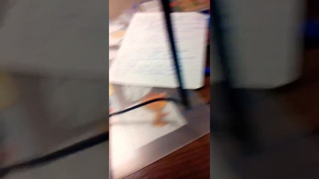 Как надо выделять в тетрадках для школы смотреть онлайн