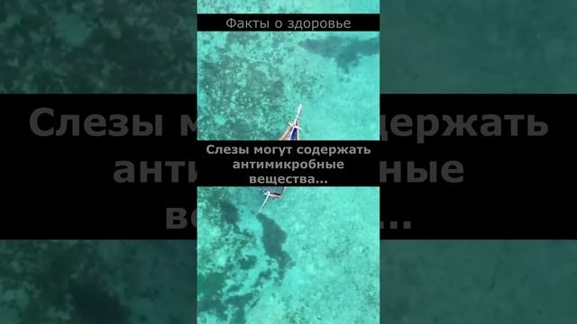 Факты о здоровье. Которых вы не знали... #факты #здоровье