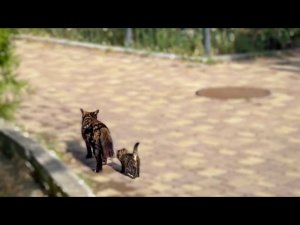 ТАК ТРОГАТЕЛЬНО! Лунных котят нашла их мама и ПОВЕЛА ДОМОЙ!