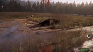 FAR CRY 5 ГДЕ ГОВЯДИНА ? \ WHERE'S THE BEEF ?