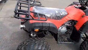 Квадроцикл Grizzly 250cc цепной привод