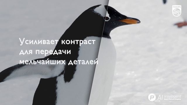 Процессор Philips P5: превосходное качество с любого источника смотреть онлайн