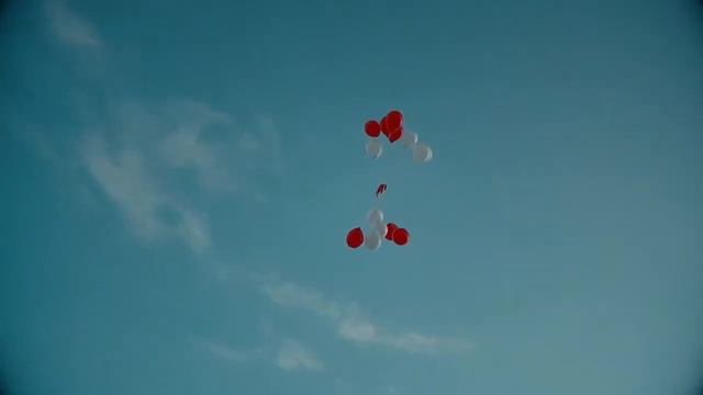 Свадебный клип Юрий и Дарья 22 10 2016 г смотреть онлайн