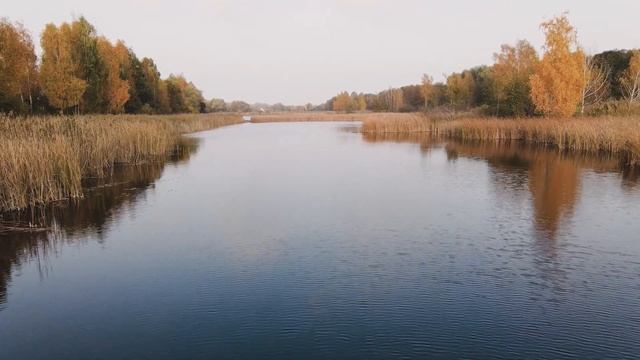 Ловля карася осенью. Где и как ловить Тактика ловли карася осенью! в холодной воде? смотреть онлайн