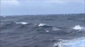 WHAT GO WE DO WITH THE DRUNKEN SAILOR ? (old irish sailor song)