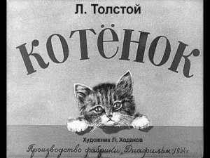 Котенок (чбдиаф-1954)