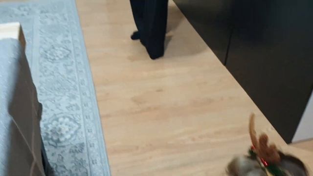 Оливейя нарядилась в олененка пока мама делает селфи на новый год #новыйгод #olivella #девочка