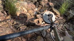 Minelab gpx 6000 & Nugget Finder Xceed coil.  Clermont Gold