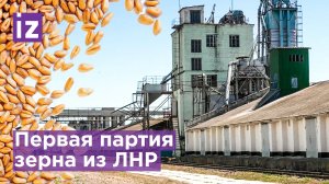Первый состав с зерном прибыл в Россию из Старобельска / Известия