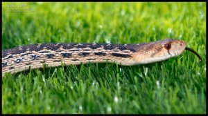 Review of the Carl Zeiss 24 -70mm f2.8 Vario Sonnar T Zoom SSM Lens for Sony Alpha Cameras